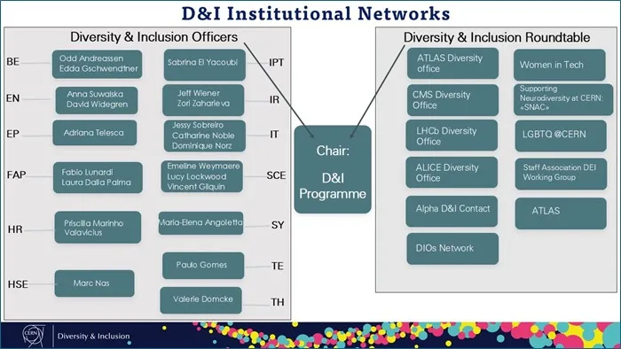 D&I Institutional Networks