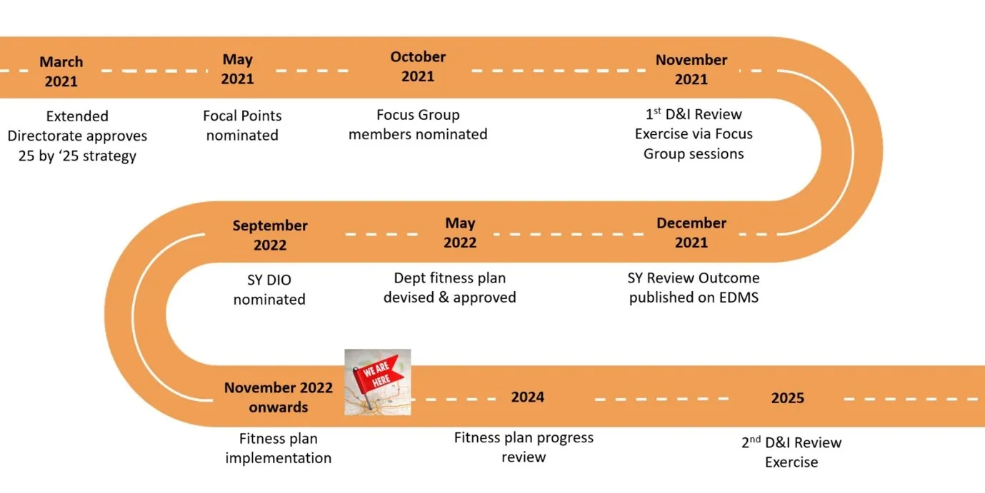 diversity_inclusion_roadmap